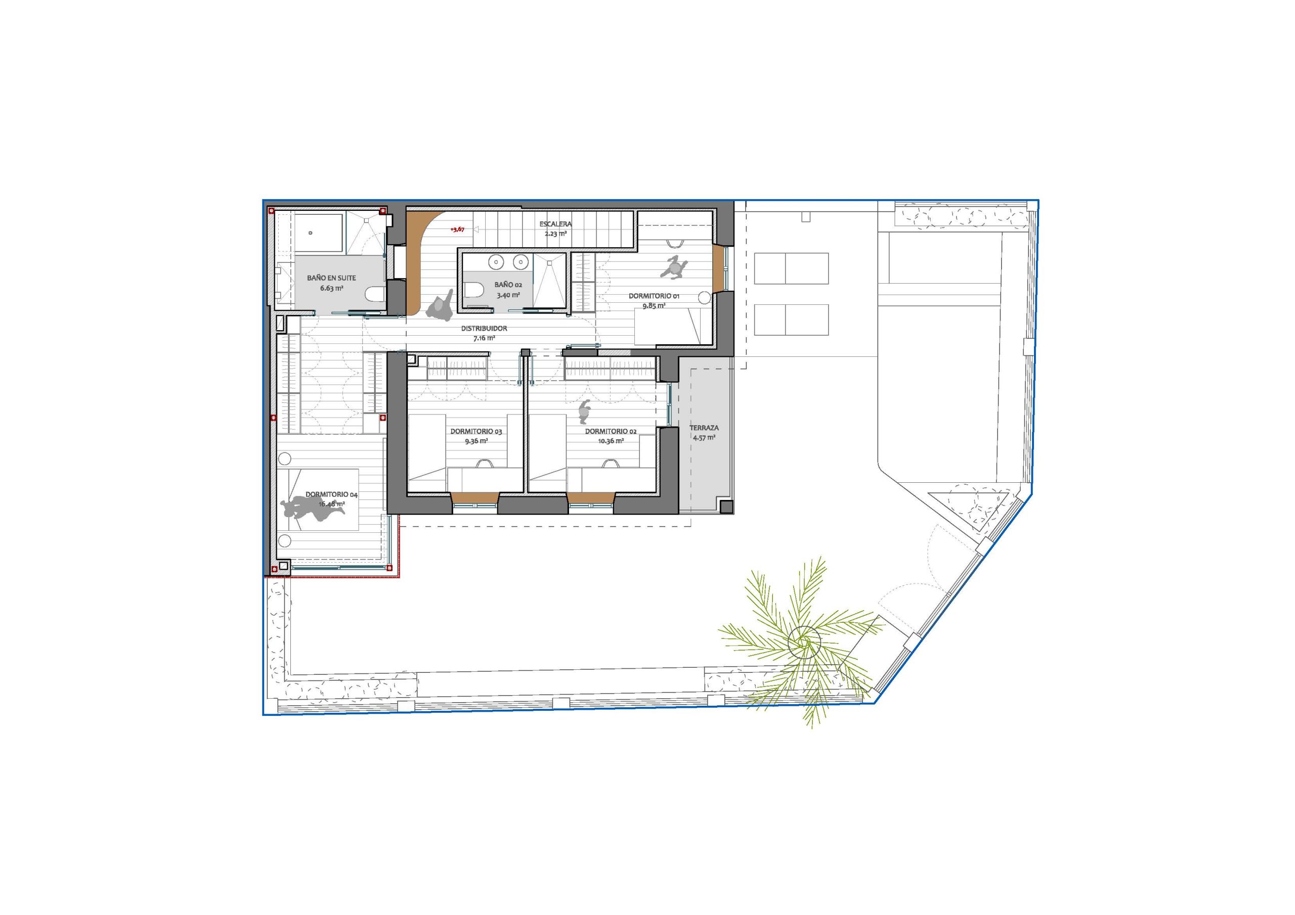 casa-palmera-planta1